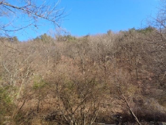 2025타경1066 임야 · 전북특별자치도 완주군 운주면