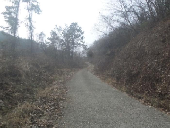 2025타경1100 임야 · 전북특별자치도 진안군 성수면 좌산리 산241