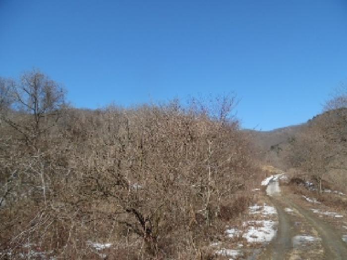 2025타경30886 임야 · 전북특별자치도 진안군 성수면 용포리 산58