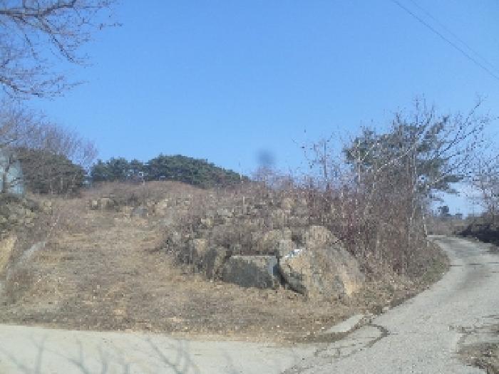 2025타경31003 전답 · 전북특별자치도 임실군 강진면