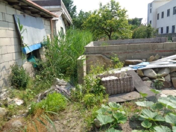 2025타경31250 대지 · 전북특별자치도 김제시 금산면 원평리 11-2