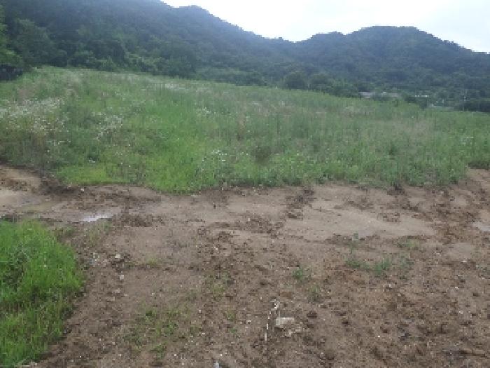 2025타경31422 임야 · 전북특별자치도 완주군 구이면