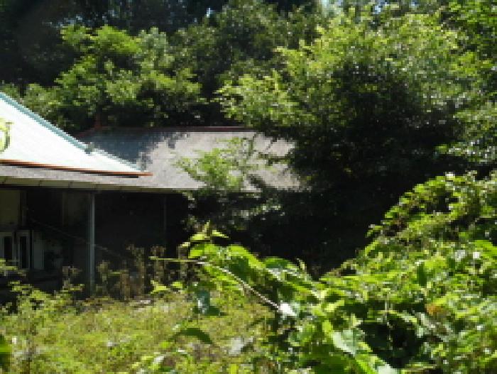 2025타경31505 대지 · 전북특별자치도 김제시 장화동