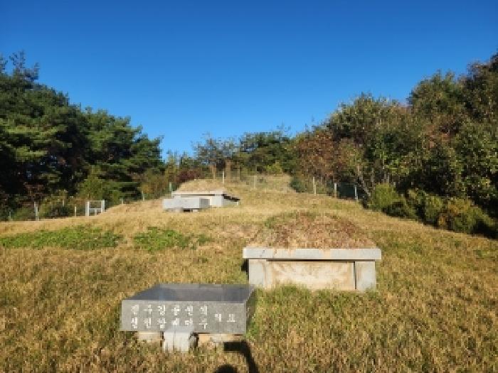 2025타경31751 임야 · 전북특별자치도 진안군 부귀면 수항리 산82-5