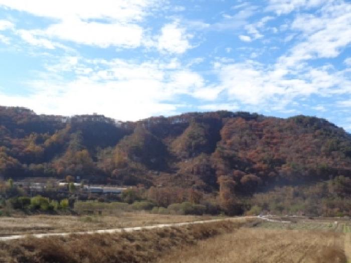 2025타경31851 임야 · 전북특별자치도 진안군 동향면 성산리 산136-2