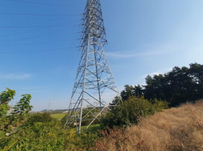 2025타경31853 · 전북특별자치도 김제시 백산면 하정리 384-15