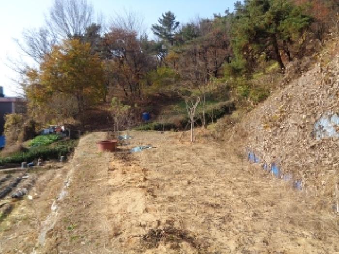 2025타경31926 임야 · 전북특별자치도 전주시 완산구 평화동1가 산54