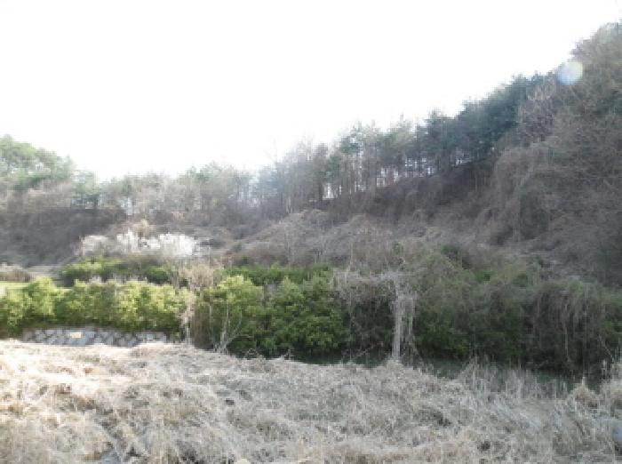 2025타경603 임야 · 전북특별자치도 완주군 소양면