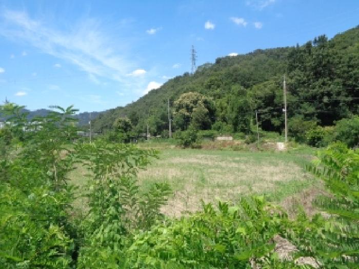 2025타경848 전답 · 전북특별자치도 전주시 완산구 색장동 382-2