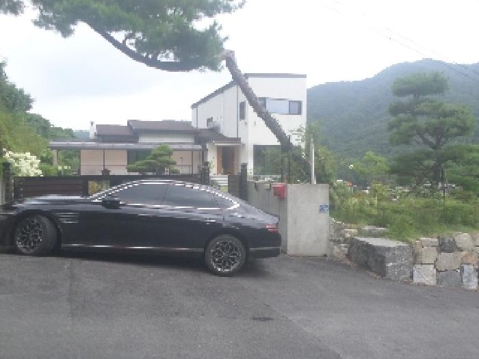 2025타경854 전답 · 전북특별자치도 전주시 덕진구 강흥동