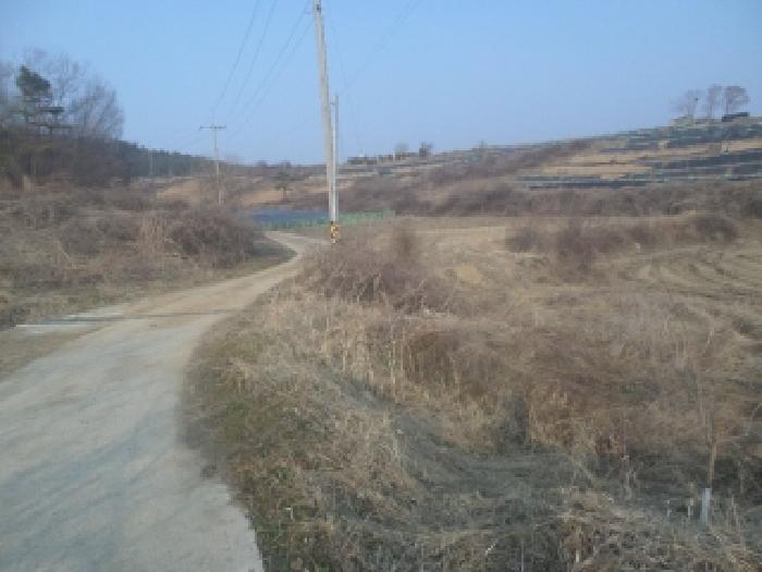 2026타경101 임야 · 전북특별자치도 임실군 신평면 호암리 산113-1