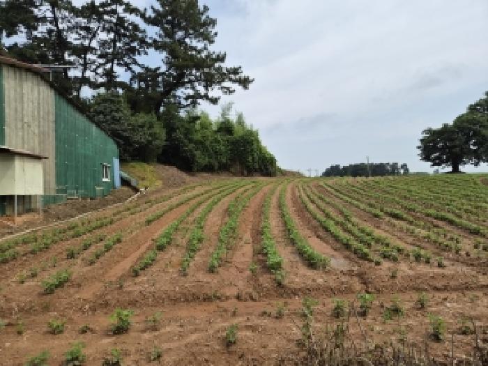 2026타경287 대지 · 전북특별자치도 김제시 죽산면 죽산리 312-2