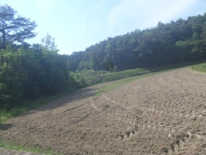 2026타경30449 전답 · 전북특별자치도 임실군 삼계면 두월리 331-1