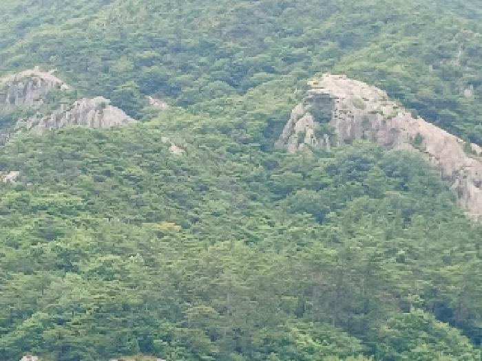 2025타경21097 임야 · 전북특별자치도 군산시 옥도면
