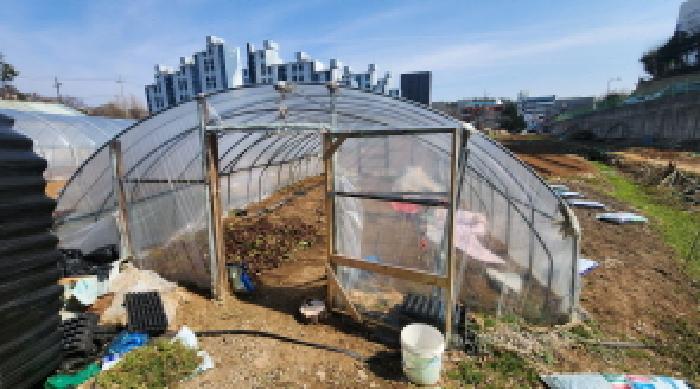 2025타경308 대지 · 전북특별자치도 군산시 나운동