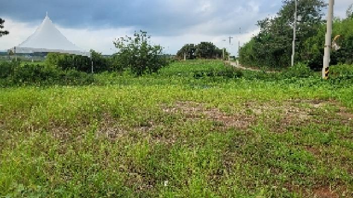 2025타경509 임야 · 전북특별자치도 익산시 부송동 산129-2