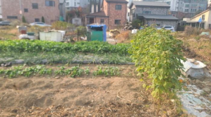 2025타경610 대지 · 전북특별자치도 군산시 미장동 489-7