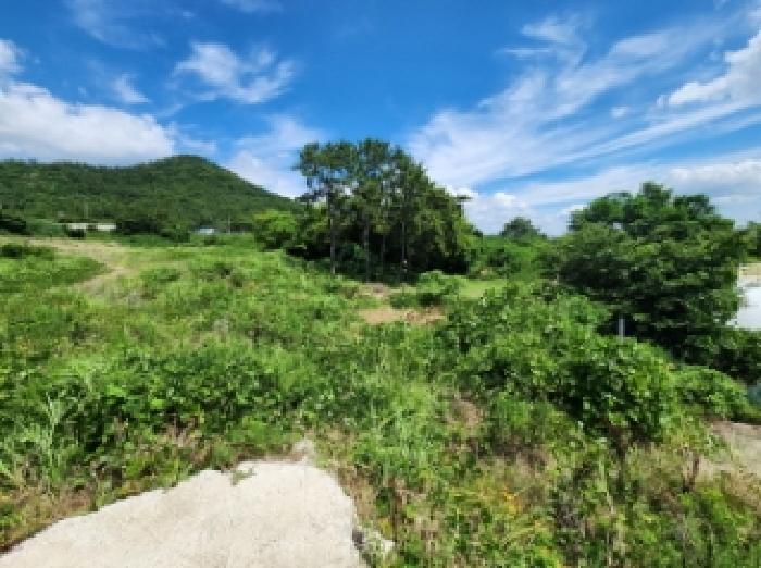 2025타경30299 대지 · 전북특별자치도 부안군 변산면