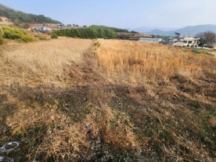 2025타경30501 전답 · 전북특별자치도 부안군 변산면