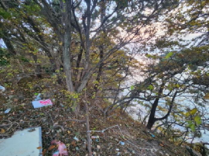 2025타경361 임야 · 전북특별자치도 부안군 변산면