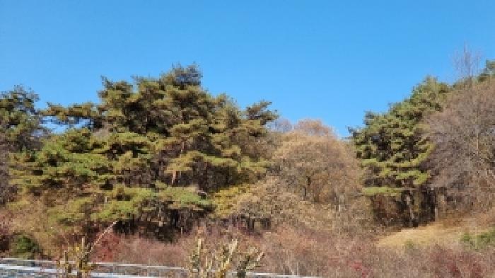 2025타경1199 임야 · 전북특별자치도 순창군 구림면