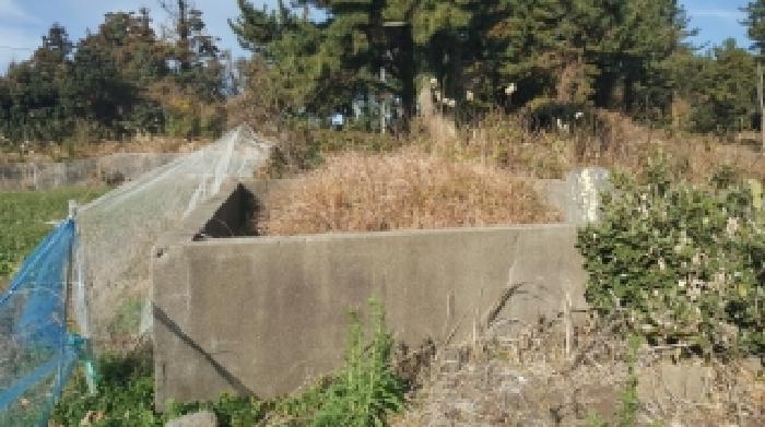2025타경2018 · 제주특별자치도 서귀포시 성산읍 고성리 1821-1