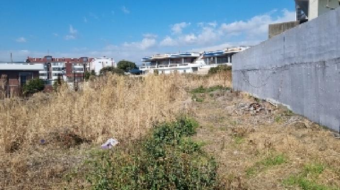 2025타경7622 대지 · 제주특별자치도 서귀포시 남원읍