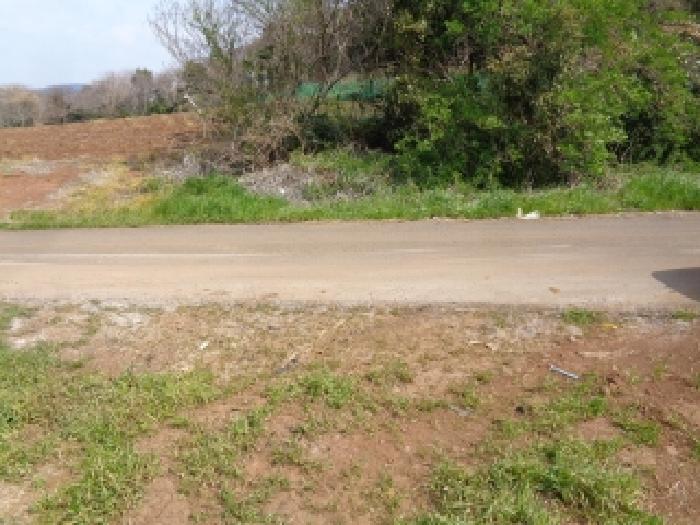 2025타경7771 전답 · 제주특별자치도 서귀포시 안덕면