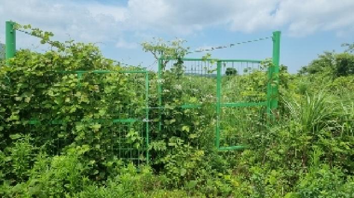 2025타경8154 대지 · 제주특별자치도 제주시 구좌읍
