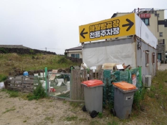 2025타경8226 대지 · 제주특별자치도 제주시 애월읍