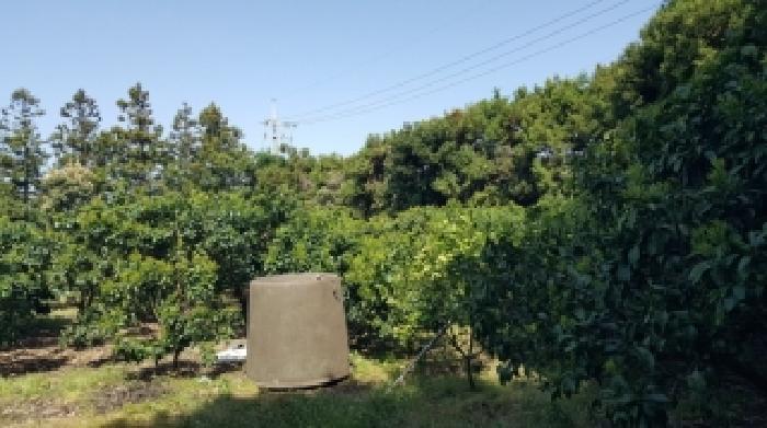 2026타경10446 · 제주특별자치도 서귀포시 성산읍 신산리 1656-1