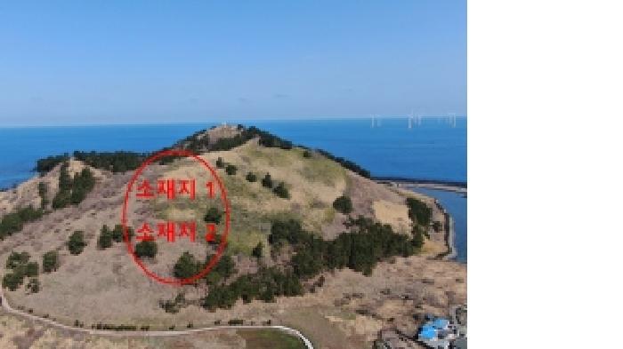 2026타경145 임야 · 제주특별자치도 제주시 한림읍