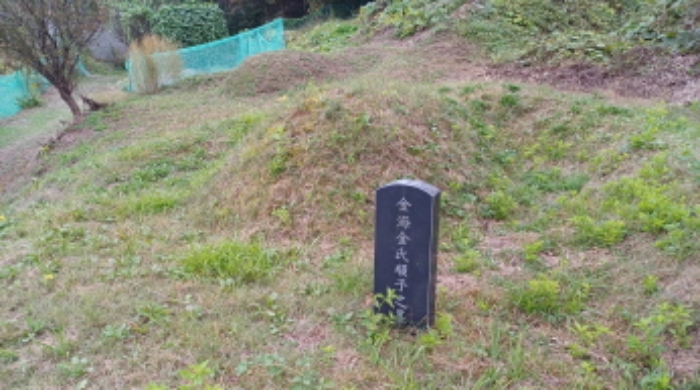 2024타경83186 · 경기도 남양주시 진건읍 배양리 42