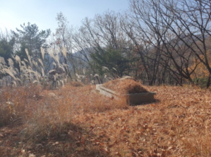 2024타경85663 임야 · 경기도 남양주시 호평동 산62