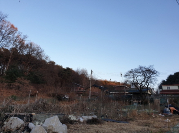 2024타경85748 임야 · 경기도 남양주시 오남읍 양지리 산63