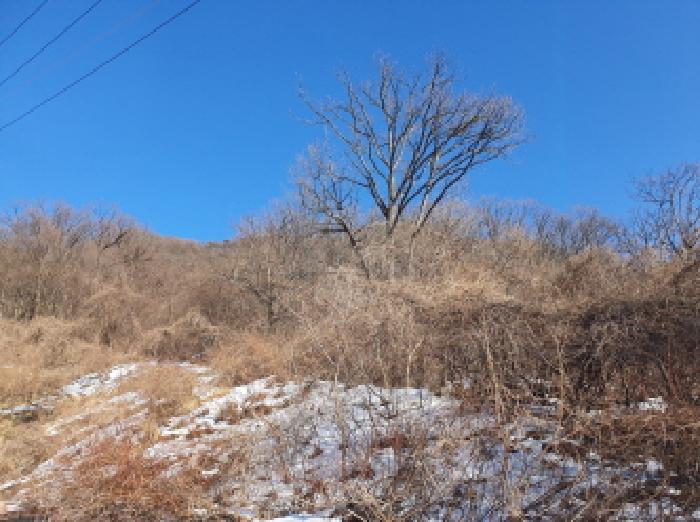 2025타경218 임야 · 경기도 가평군 청평면 고성리 642-13