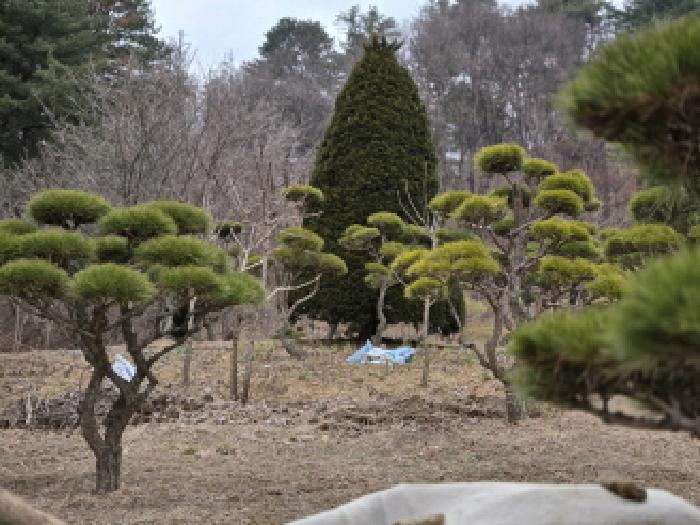 2025타경71245 · 경기도 남양주시 진접읍 부평리 211