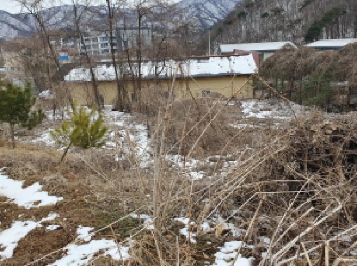 2025타경71286 · 경기도 가평군 가평읍 산유리 410