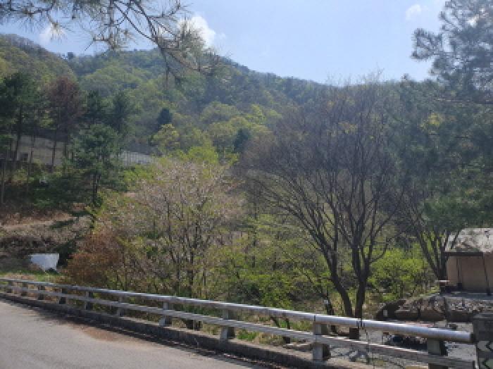 2025타경71539 · 경기도 가평군 설악면 회곡리 255