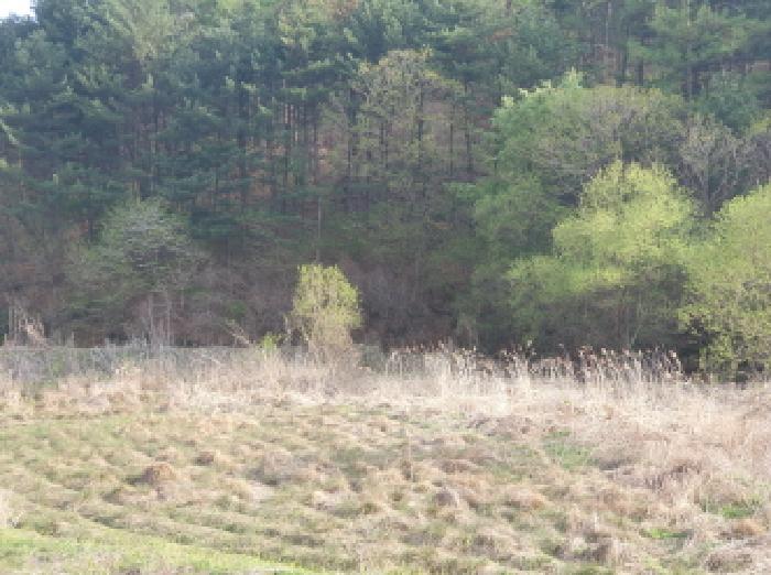 2025타경71544 아파트 · 경기도 가평군 자잠로