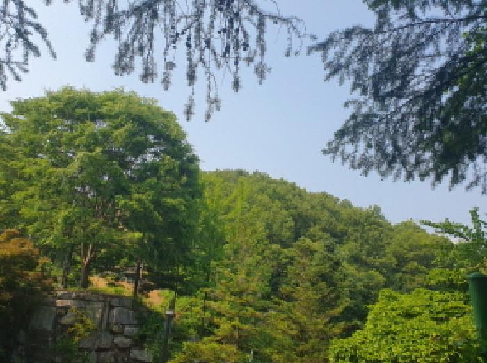 2025타경71682 임야 · 경기도 가평군 청평면 고성리 산87