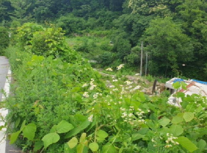 2025타경71847 전답 · 경기도 남양주시 수동면