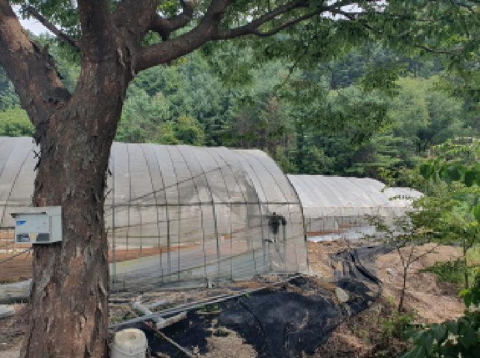 2025타경72034 · 경기도 가평군 조종면