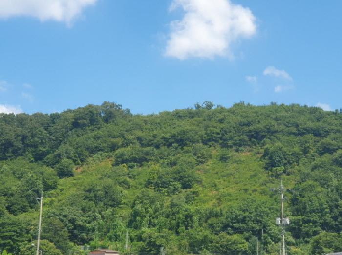 2025타경72143 임야 · 경기도 가평군 청평면