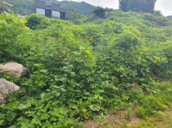 2025타경72148 대지 · 경기도 가평군 북면