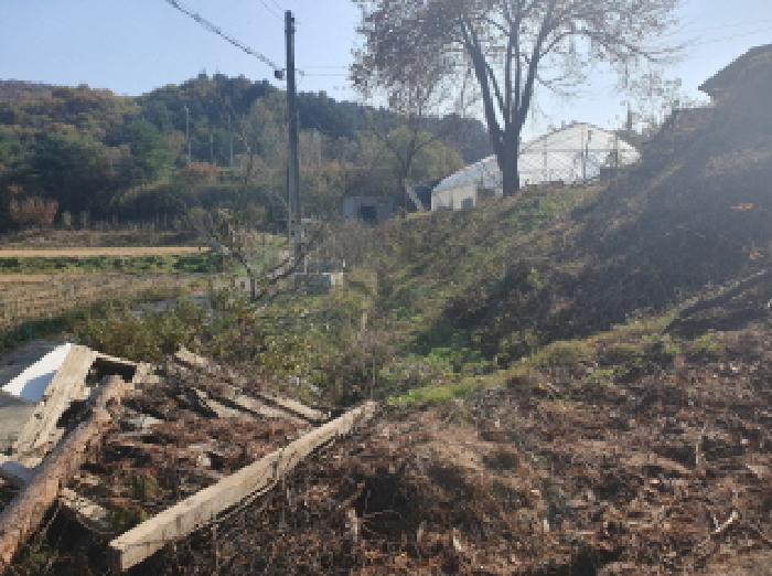 2025타경72509 · 경기도 가평군 설악면 신천리 192