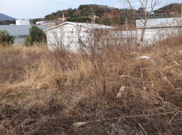 2025타경72613 임야 · 경기도 남양주시 수동면 입석리 540-62