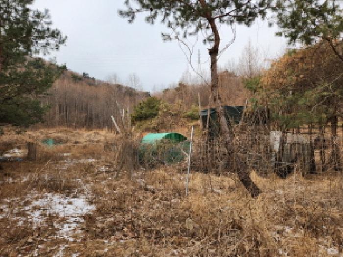 2025타경72872 전답 · 경기도 남양주시 별내동 2215