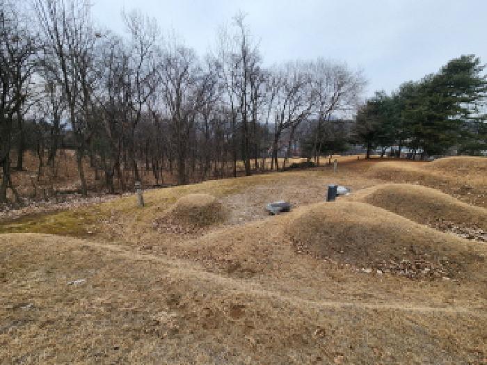 2026타경20015 임야 · 경기도 남양주시 일패동 산35-6