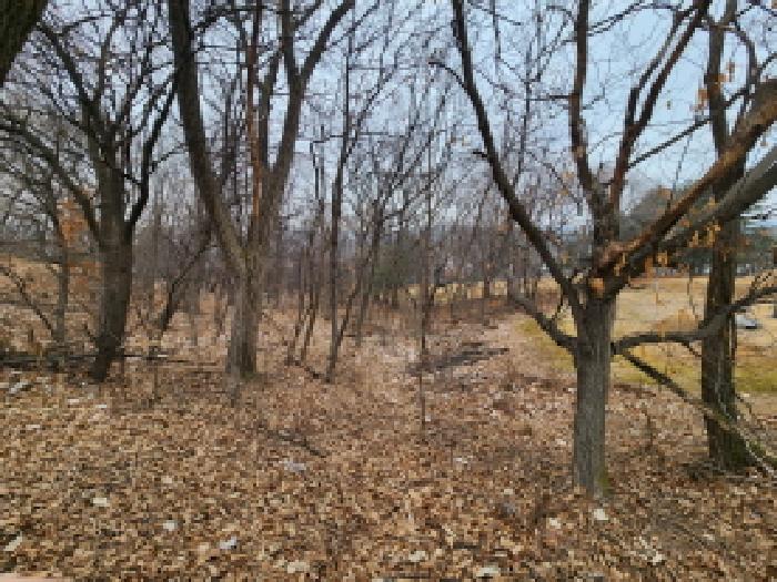2026타경20104 임야 · 경기도 남양주시 진접읍 내각리 산70-2